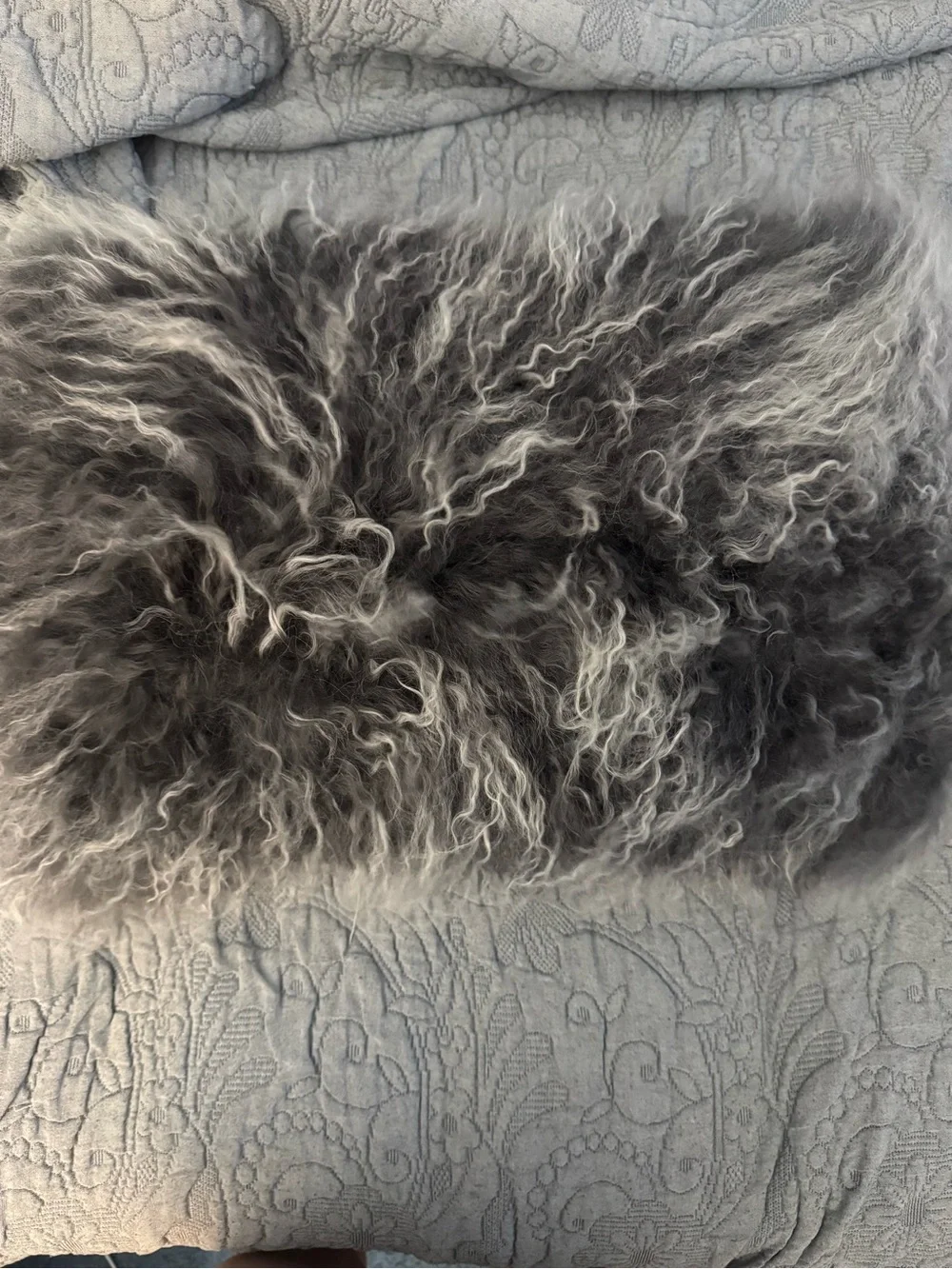 NWT Mongolian Lamb Hair Throw Accent Pillow Gray Charcoal Ombré 12”x20”